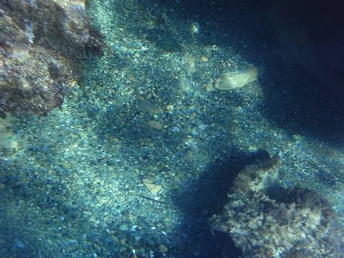 Imagen general del Hostal Restaurant S'algaret. Foto 7