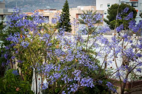 Imagen de la habitación del Hostal Restaurante La Curva. Foto 5