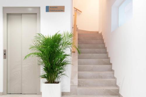 Imagen de los interiores del Hostal Río Salado Conil. Foto 10