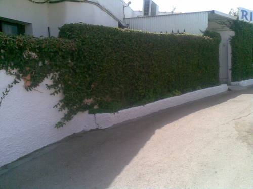 Imagen general del Hostal Rio Grande. Foto 4