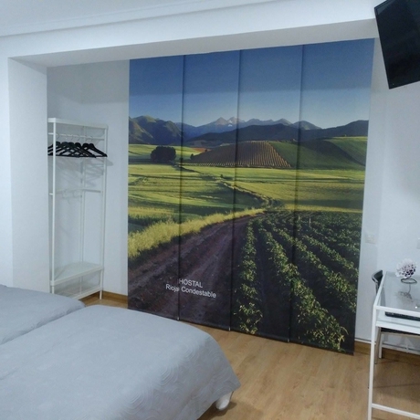 Imagen de la habitación del Hostal Rioja Condestable. Foto 5