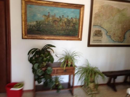 Imagen general del Hostal Santiago, Écija. Foto 2