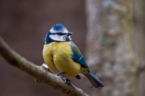 Imagen general del Hostal Santuari De Paller. Foto 2