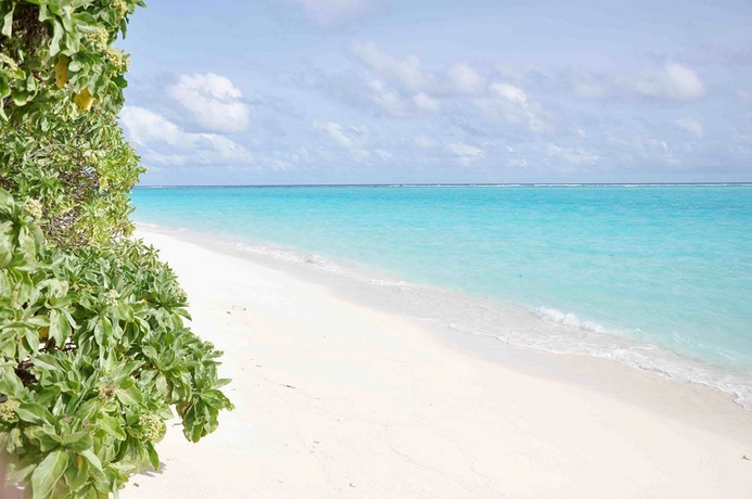 Imagen de los exteriores del Hostal Serene Sky Guest House. Foto 6