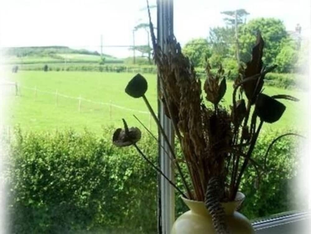 Imagen general del Hostal The Highdown Inn. Foto 6