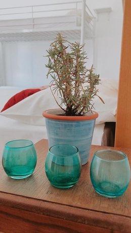 Imagen de la habitación del Hostal The Sun Hostel. Foto 16