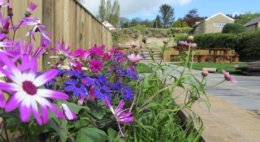 Imagen general del Hostal The Turks Head. Foto 3