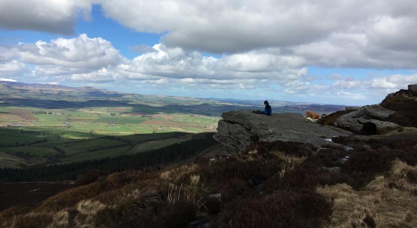 Imagen general del Hostal The Turks Head. Foto 5