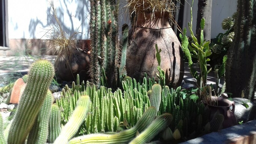 Imagen de los exteriores del Hostal Tierra De Vinos, Cafayate. Foto 31