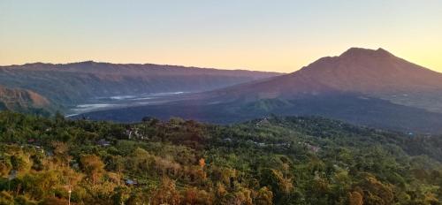 Imagen general del Hostal Tiing Bali Guest House Kintamani. Foto 5