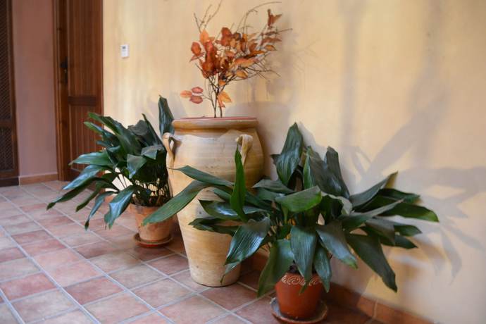 Imagen de los interiores del Hostal Toribio. Foto 5