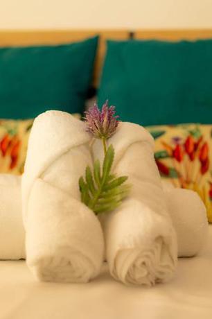 Imagen general del Hostal Ventura Premium. Foto 7