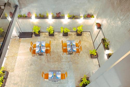 Imagen general del Hostal Whaleshark Beach. Foto 5