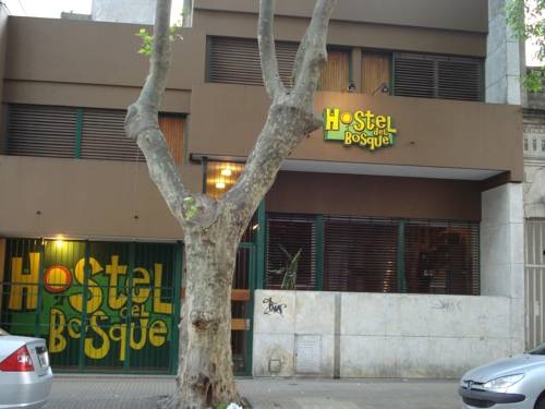 Imagen general del Hostal del Bosque. Foto 17