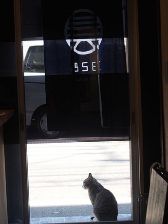Imagen de los interiores del Hostel 328 and Lounge. Foto 12