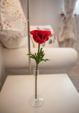 Imagen de la habitación del Hostel 4.friends. Foto 25