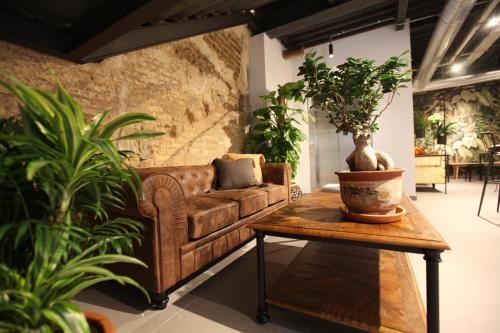 Imagen general del Hostel AZ The Botanic. Foto 2