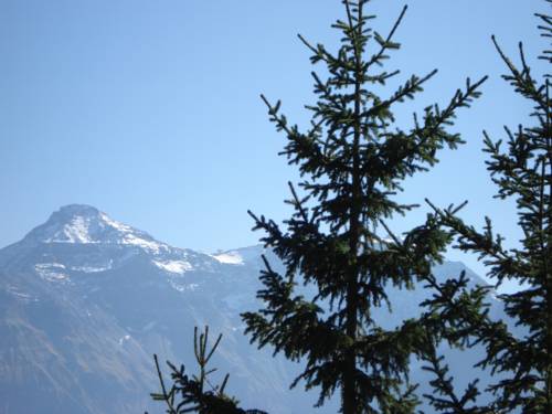 Imagen de la habitación del Hostel Adrenalin Backpackers. Foto 16