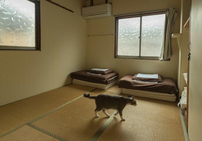 Imagen de la habitación del Hostel Air Osaka. Foto 4