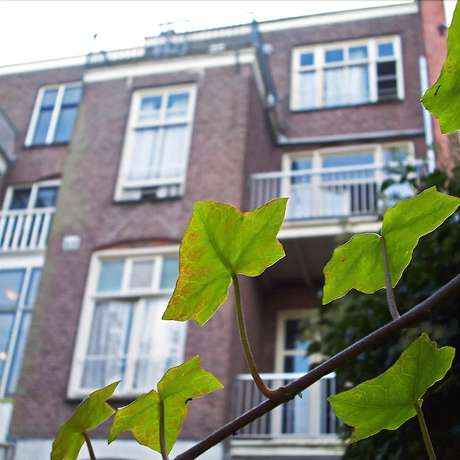 Imagen general del Hostel Amsterdam Annemarie. Foto 3