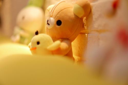 Imagen general del Hostel Ancient Style. Foto 5