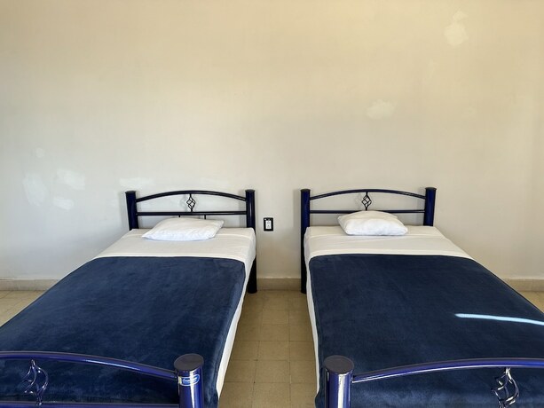 Imagen de la habitación del Hostel Andaina, Oaxaca de Ju&aacute;rez. Foto 26