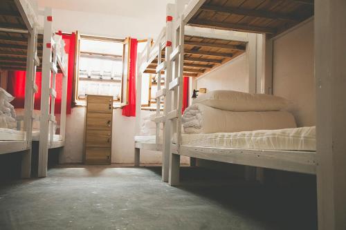 Imagen general del Hostel Andpark. Foto 2