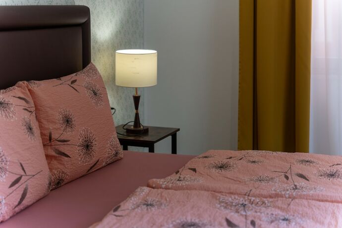 Imagen general del Hostel Antique. Foto 2