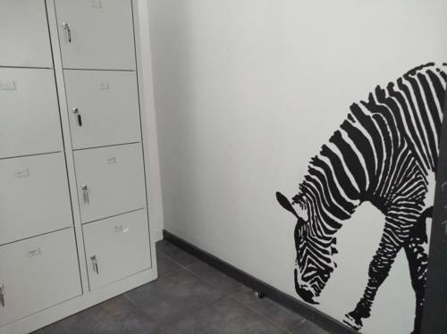 Imagen de la habitación del Hostel Antwerp Backpackers. Foto 9