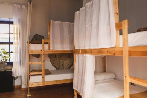 Imagen de la habitación del Hostel Ashavana. Foto 7