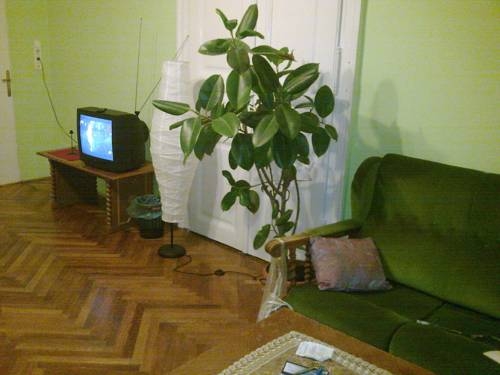 Imagen general del Hostel Azurro, Budapest. Foto 7