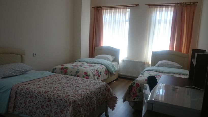 Imagen de la habitación del Hostel Bahar Pansiyon, Edirne. Foto 14