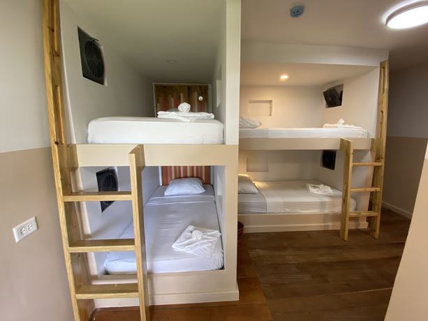 Imagen de la habitación del Hostel Bambuda Bocas Town. Foto 16