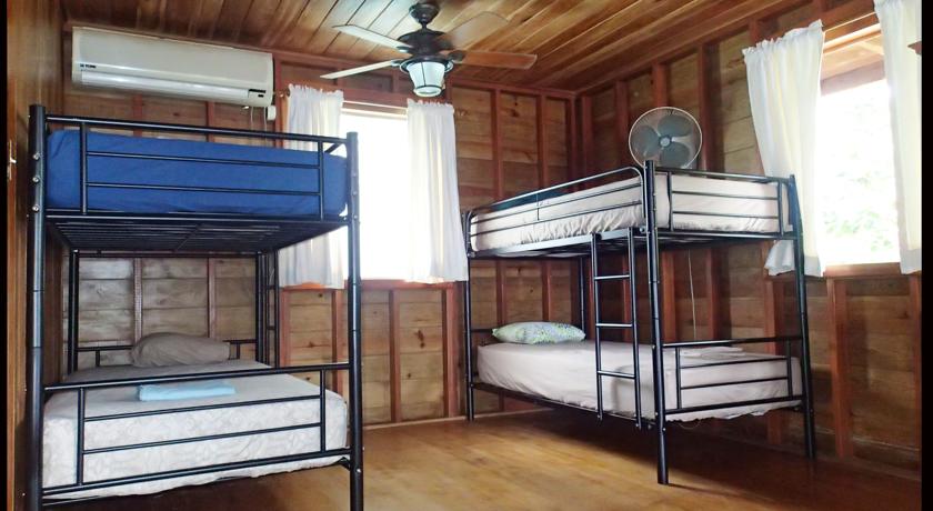 Imagen de la habitación del Hostel Bambuda Lodge -. Foto 2