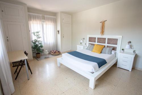 Imagen de la habitación del Hostel Barbatuke, M&aacute;laga. Foto 3