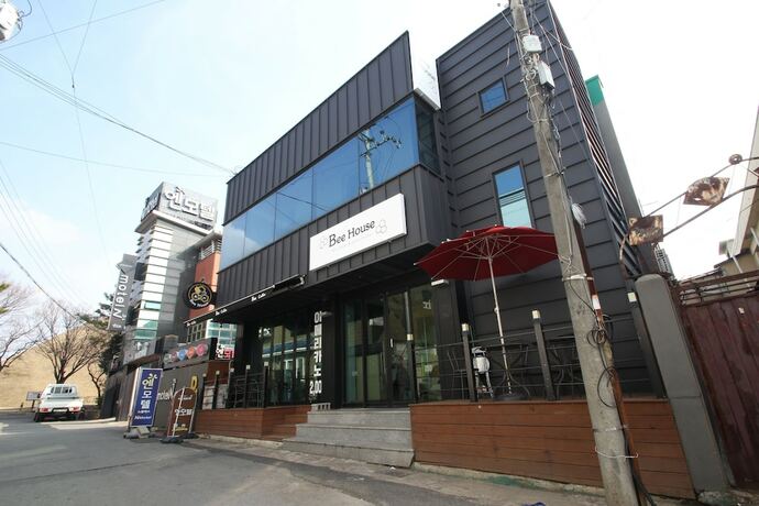 Imagen general del Hostel Bee House. Foto 4