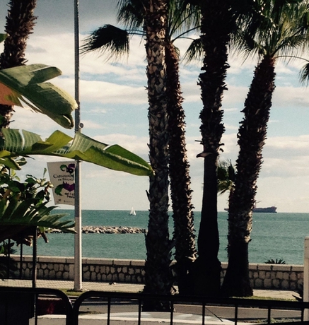 Imagen de los exteriores del Hostel Bellavista Playa Malaga. Foto 13