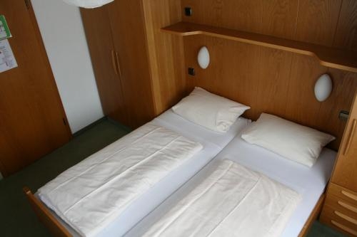 Imagen general del Hostel Big Mountain. Foto 4