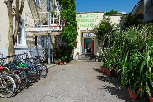 Imagen general del Hostel Black Forest, Friburgo. Foto 3