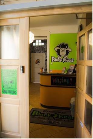 Imagen general del Hostel Black Sheep Budapest. Foto 8