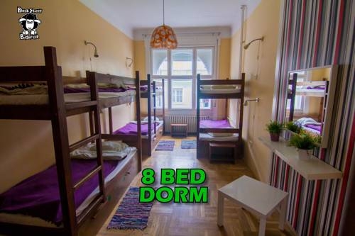 Imagen general del Hostel Black Sheep Budapest. Foto 11