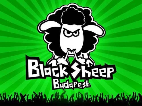 Imagen general del Hostel Black Sheep Budapest. Foto 16