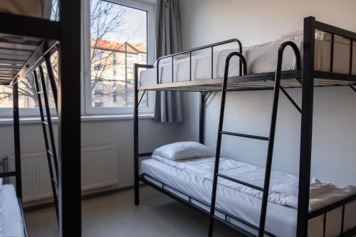 Imagen de la habitación del Hostel Bunks at Rode. Foto 9
