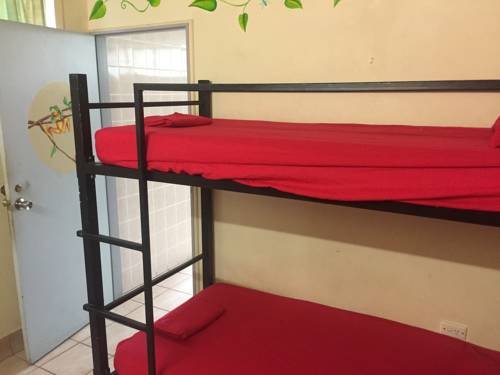 Imagen de la habitación del Hostel Cairns City Backpackers. Foto 6