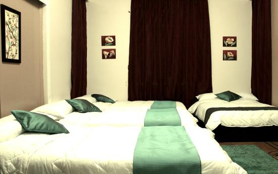 Imagen general del Hostel Cairo International. Foto 2