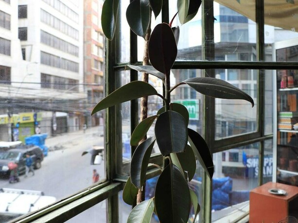 Imagen general del Hostel Canoa. Foto 8