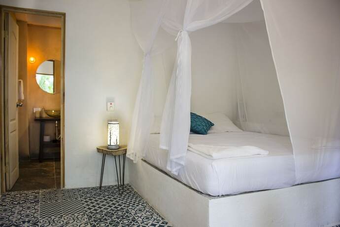 Imagen general del Hostel Casa Del Pavo Real Boutique Hotel. Foto 2