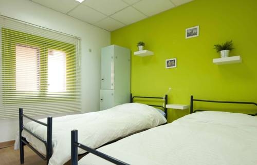 Imagen general del Hostel Cats Chill Out Madrid. Foto 9