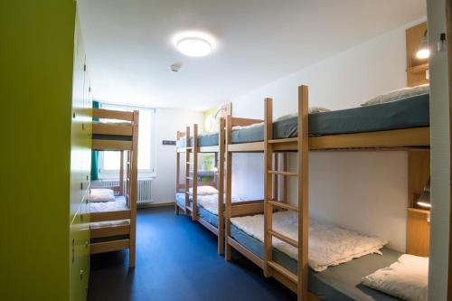 Imagen de la habitación del Hostel Chalet @ Backpackers Villa Interlaken. Foto 9