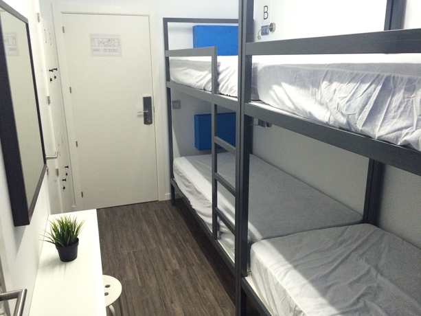 Imagen de la habitación del Hostel Chameleon, Alicante. Foto 14